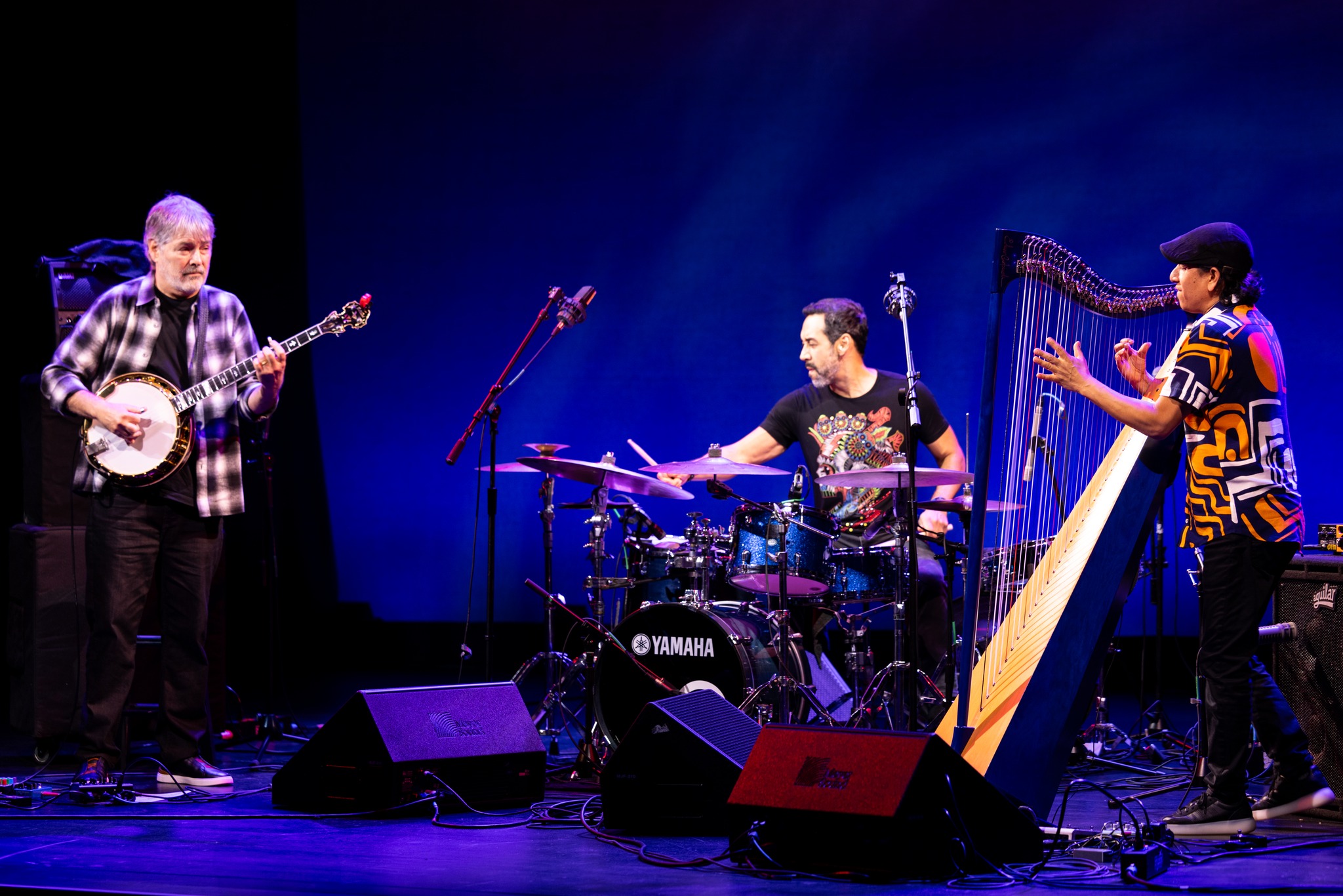 Béla Fleck and the Flecktones